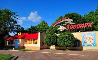 Mykolaiv zoo needs help to save animals from starvation during wartime