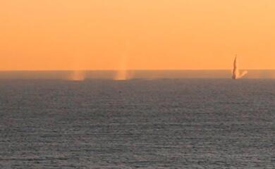 month of war. There is a total resistance of the Ukrainian people