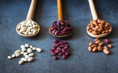 Doctors explained the benefits of beans