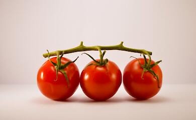 Due to the war in Ukraine, the world expects a jump in food prices - UN