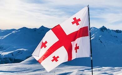 Delegation of the Georgian Parliament arrived in Kyiv