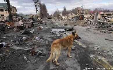 Italy announced the start of funding for the restoration of Bucha