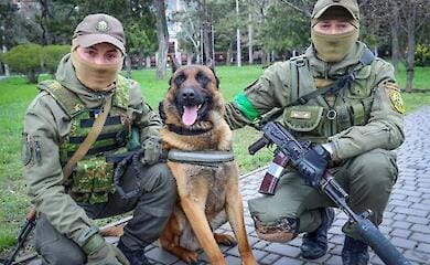 The dog that served in the Russian Guard went over to the side of Ukraine