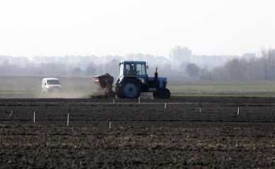 Even in the gray zone. 85% of fields were sown in the Mykolaiv region