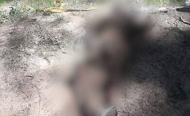 Man tortured to death by invaders was found in Kyiv region