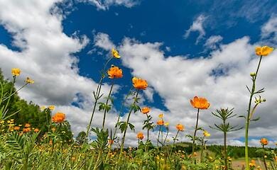 Forecasters told what will be June