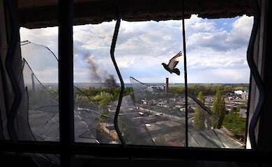 In Mariupol, a 12-year-old boy died after blowing himself up on school grounds