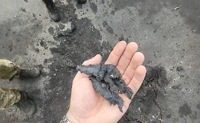 Hundreds of enemy rockets: invaders fired at Chernihiv and Sumy regions