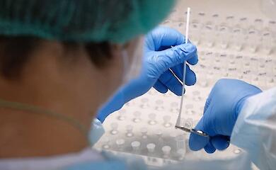 Genetic engineering helps fight pancreatic cancer