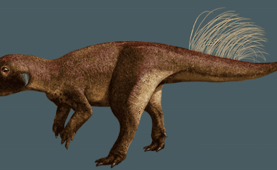 Scientists have figured out what the navel of a dinosaur looked like