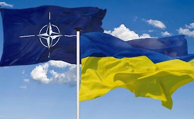 Ukraine may in the long term fully switch to the armament of the alliance