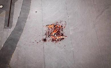 Killed in pools of blood: anti-war performance