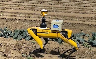 Demining the Kyiv region will be done by robot-dog Boston Dynamics