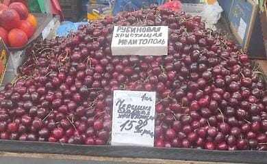 Russian invaders steal crops in the occupied territories and take them out of Ukraine