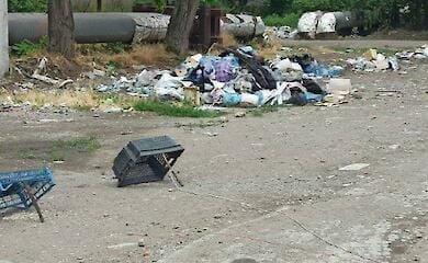 Mariupol residents are forced to hunt pigeons. Details