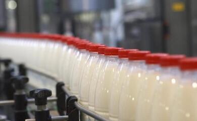 Milk prices in the world have risen to a record high