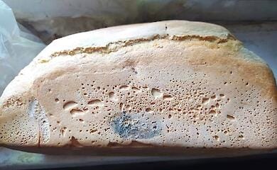 The Russians sent shovels and rotten bread to Mariupol
