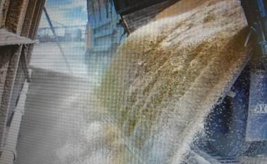 Grain export agreement: details