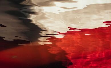 Polish volunteer killed in battle in Ukraine