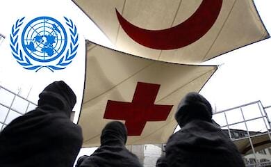 Why do Ukrainians criticize international organizations and is there an alternative