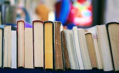 Almost 2 tons of Russian books handed over for waste paper in Chernihiv region