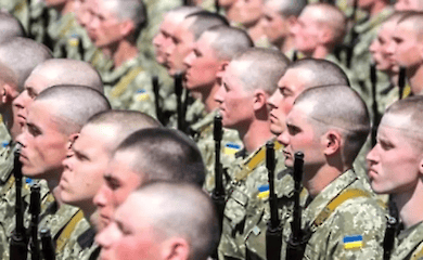 The number of sentences for criminal offenses for draft evasion has increased