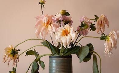 Too hot summer this year killed more than four thousand Spaniards