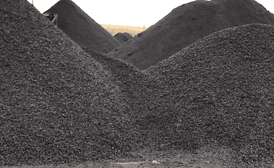 The government approved a ban on the export of Ukrainian coal