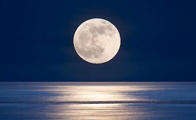 Scientists say we are not alone in the universe