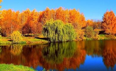 When will Indian summer start in Ukraine?