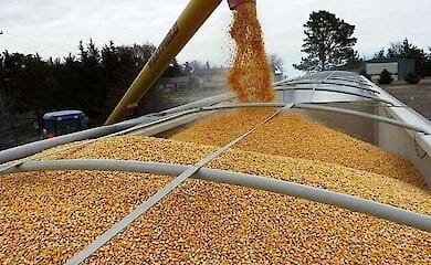 Russia earned $530 million for selling stolen Ukrainian grain