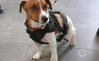 Patron demonstrated how he managed to "undermine" the Crimean bridge