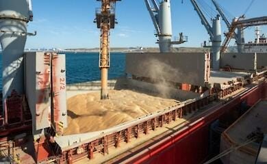 Russia has again increased the deadline for inspecting grain shipments