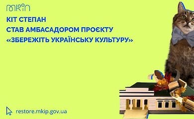 Stepan the cat became an ambassador for an important project of the Ministry of Culture