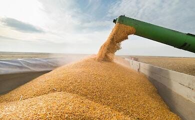 Russian occupiers export grain from temporarily occupied Ukrainian territories