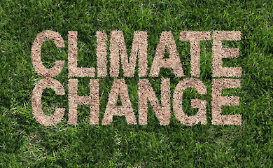 The Environmental Impact of Meat: How It Affects Our Planet