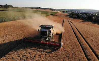 Ukraine's agrarian policy minister reveals losses caused by ban on agro-exports 