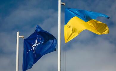 How much of the promised NATO arms have already been transferred to Ukraine