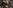 The head of Ukraine's GUR "appeared" on the streets of Moscow