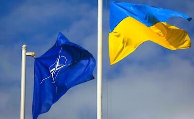 Poland favours fast-track admission of Ukraine to NATO