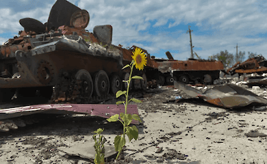 Russian aggression has caused multibillion-dollar environmental damage