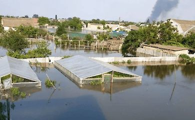 Oleshki almost completely flooded, occupiers fail to evacuate population