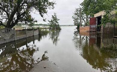 Most appeals about disappearances as a result of ecocide in Kherson oblast concern the temporarily occupied territories