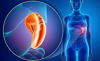 5 foods that can harm the spleen