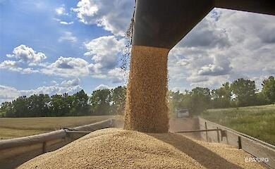 It became known how much grain Russia destroyed by attacking Ukrainian ports