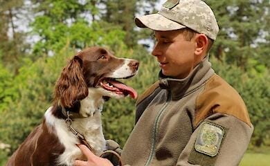 Border guards showed touching photos of service spaniels (photo)