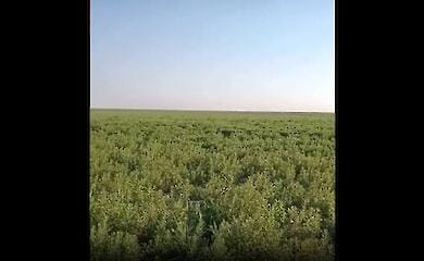 The Office of the President showed how the bottom of the Kakhovka reservoir looks like (video)