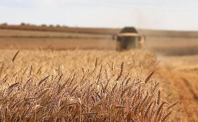 Poland offers Ukraine to build a "model of grain relations"