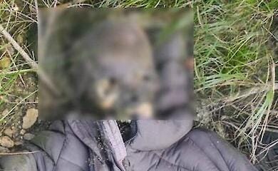 A man's body was found on the border with Romania