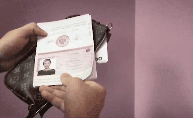 Russian propagandists say they found Yelena's "Russian Federation passport" in Zelensky's Crimean flat